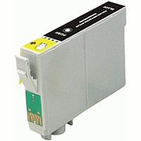 EPSON T098120